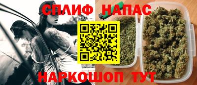a pvp Бийск