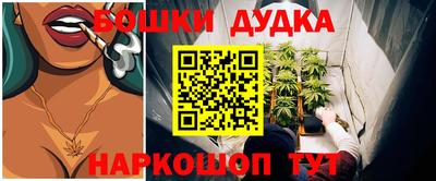 a pvp Бийск