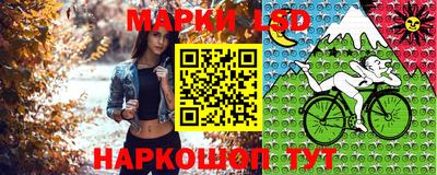 a pvp Бийск