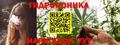 PSILOCYBIN Заволжье