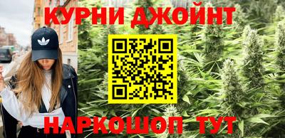 PSILOCYBIN Заволжье