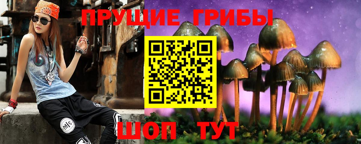 Будённовск  Псилоцибиновые грибы мицелий  Вход с VPN 