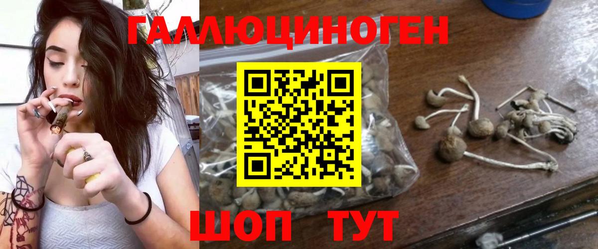 хочу наркоту  Псилоцибиновые грибы MAGIC MUSHROOMS  Вход с VPN  Будённовск 